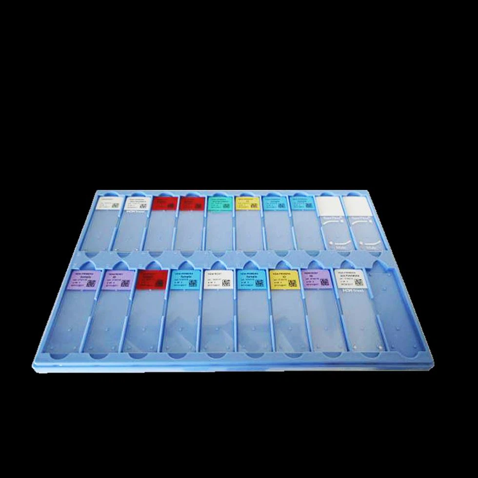 slides tray slides tray